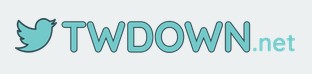 twdown.net